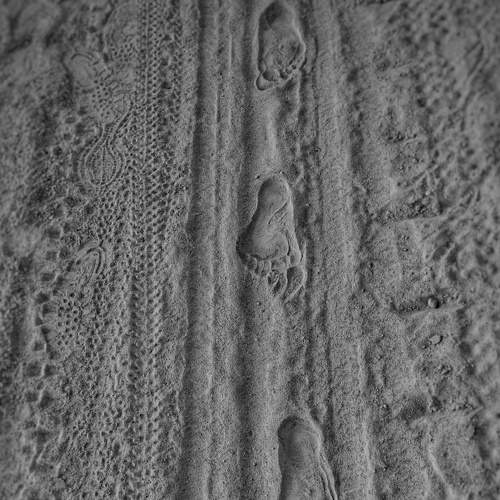 Photo #7950048