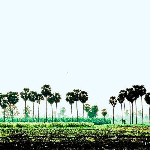 Photo #7950305
