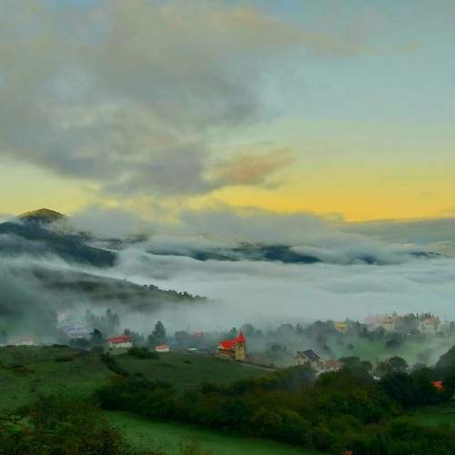 Beauty in the fog