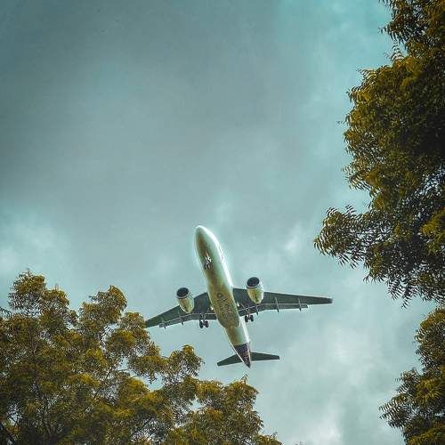 Photo #7950366