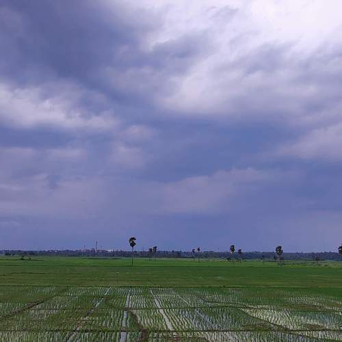 Photo #7951464