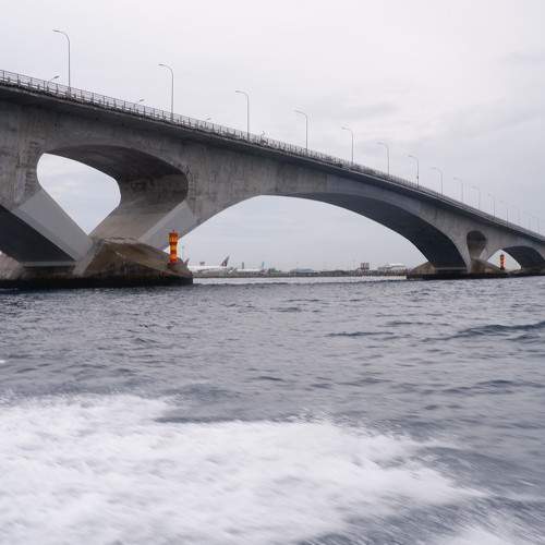 Photo #7951504