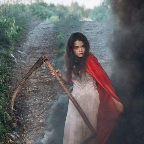 Photo #7951942