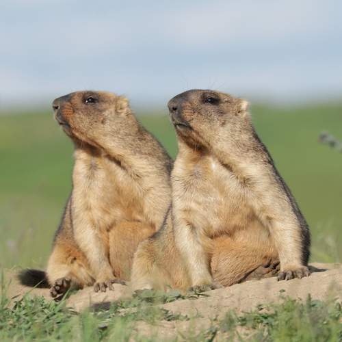 Photo #7952353