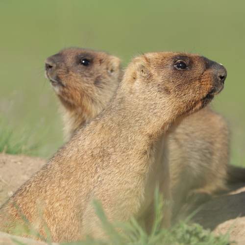 Photo #7952366