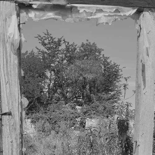 Photo #7952555