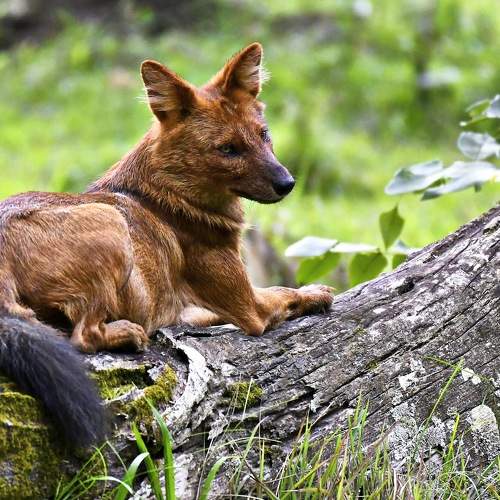Photo #7953097