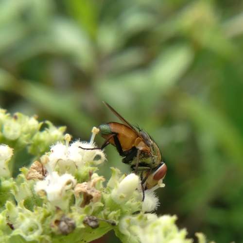 Photo #7953137