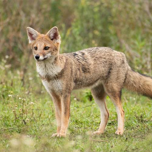 Photo #7953176