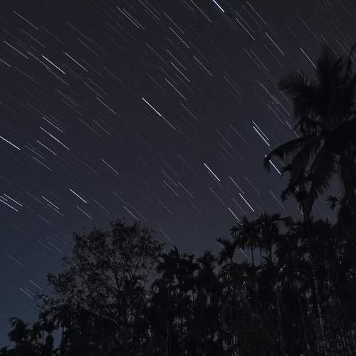 Photo #7953319