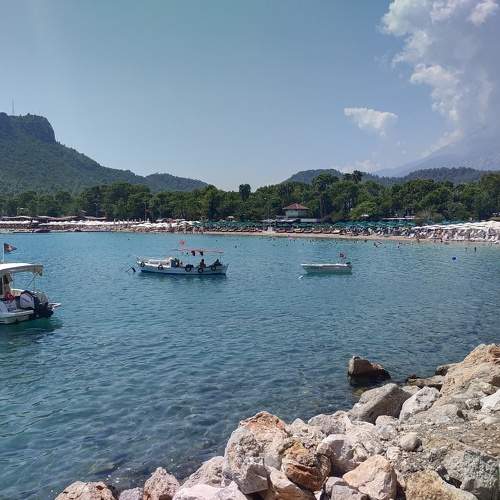 Photo #7953713