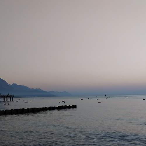 Photo #7953725