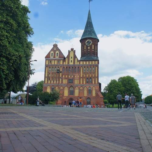 Photo #7954582