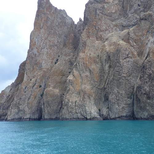 Photo #7955859