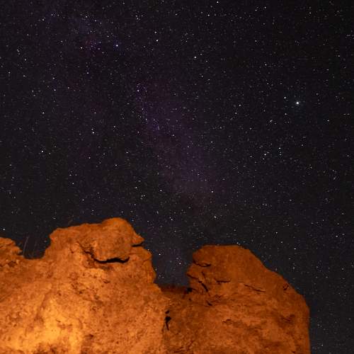 Photo #7956318
