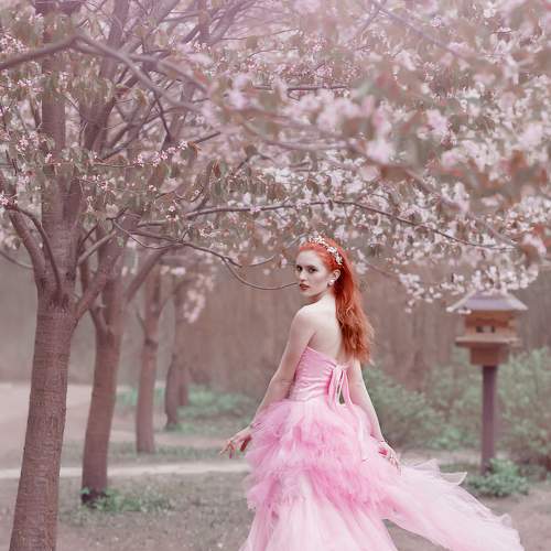 Photo #7956411