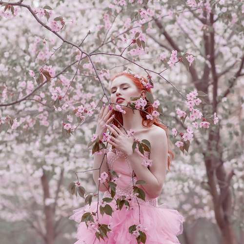 Photo #7956426