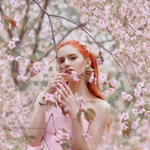 Photo #7956427