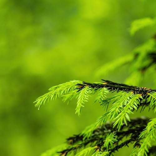 Photo #7956472