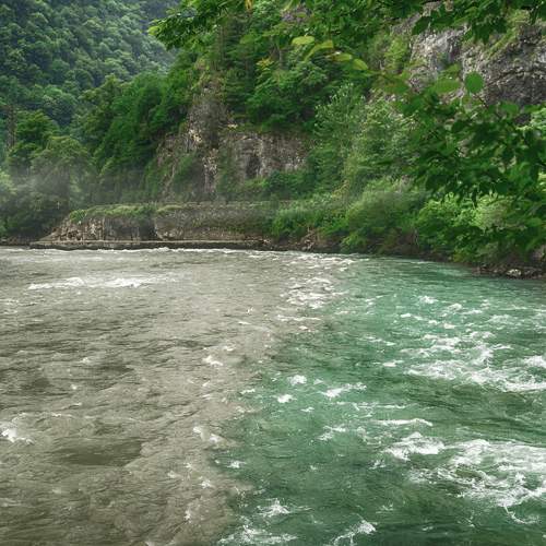 Photo #7956943