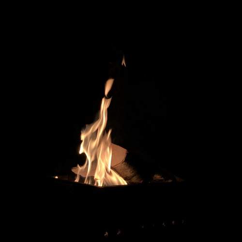 Photo #7957001