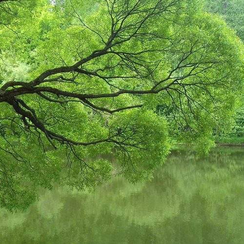 Photo #7957256
