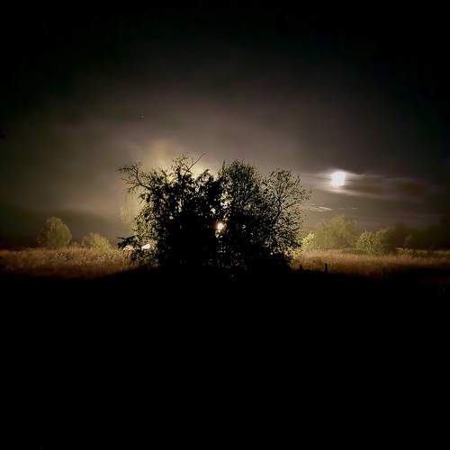 Photo #7957274