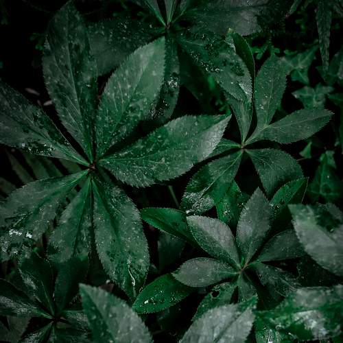 Photo #7957336