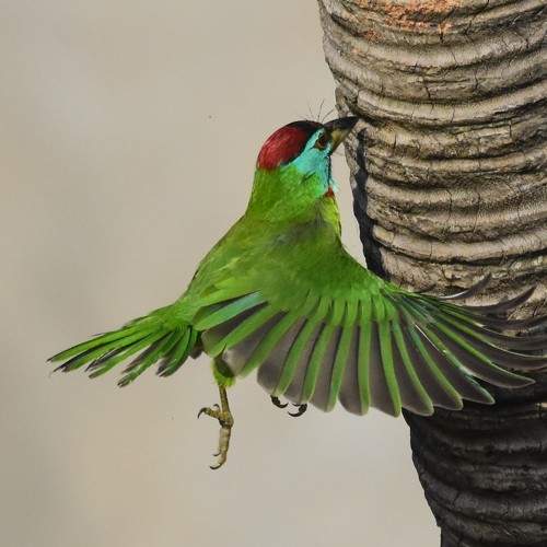 Photo #7957493