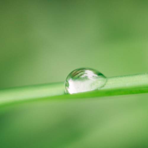 Photo #7957586