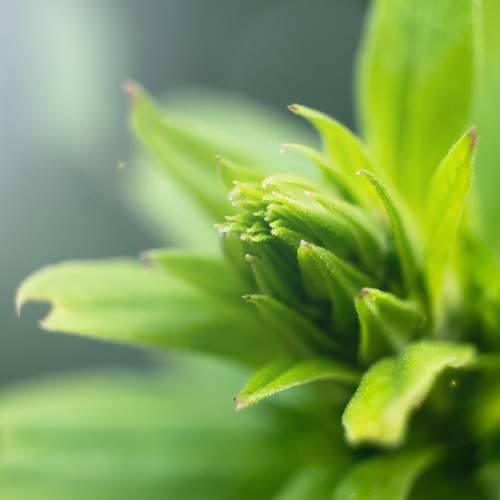 Photo #7957587