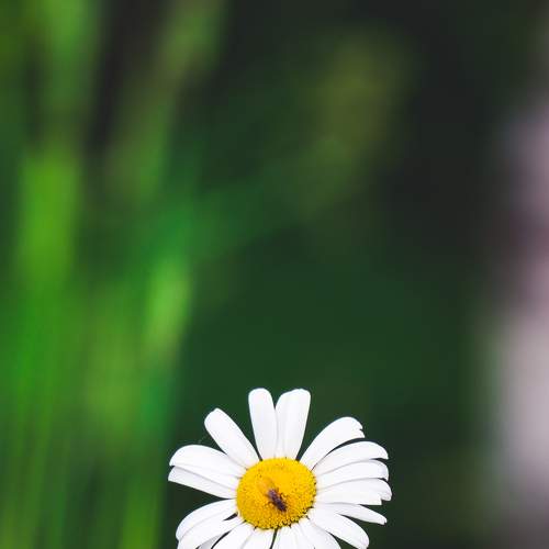 Photo #7957597