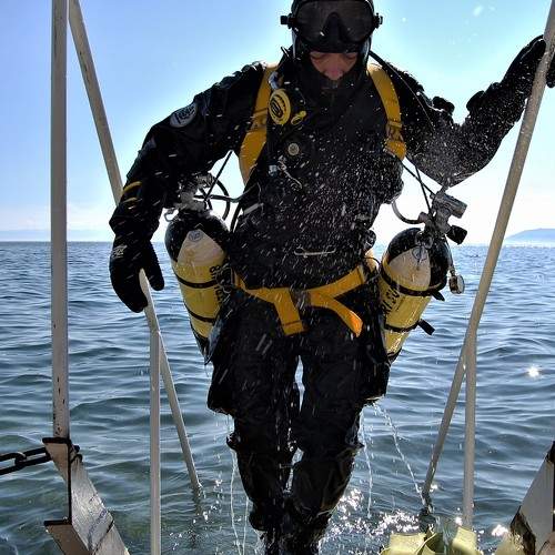 Photo #7957691