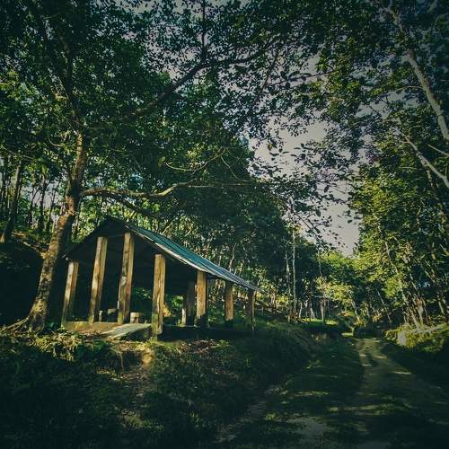 Photo #7957815