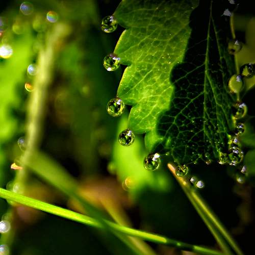 Photo #7957927