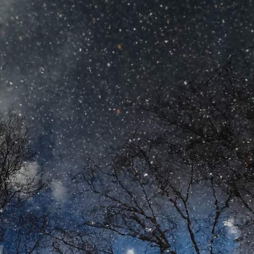 Photo #7958010