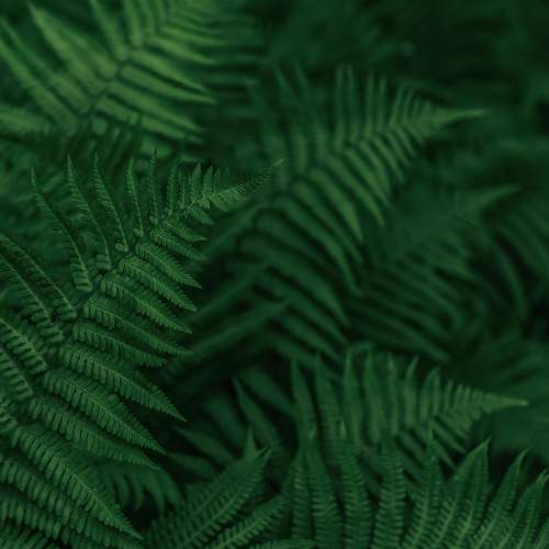 Photo #7958249