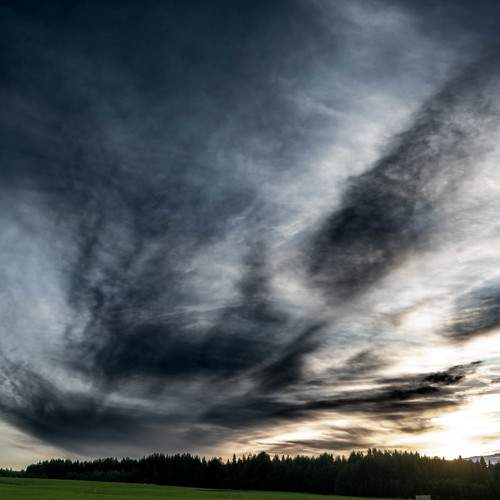 Photo #7958412