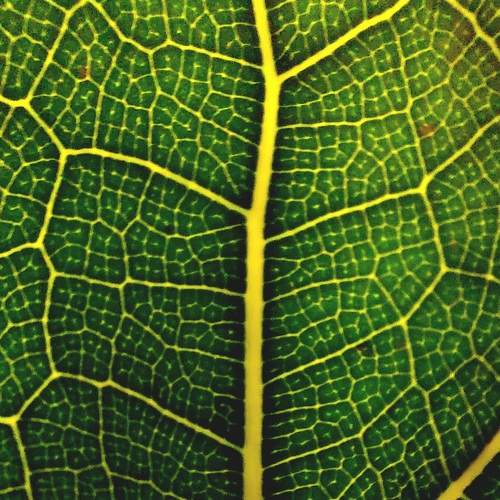 Photo #7958882