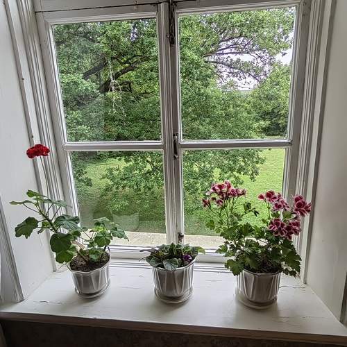 Photo #7959368
