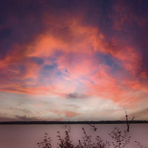 Photo #7959425