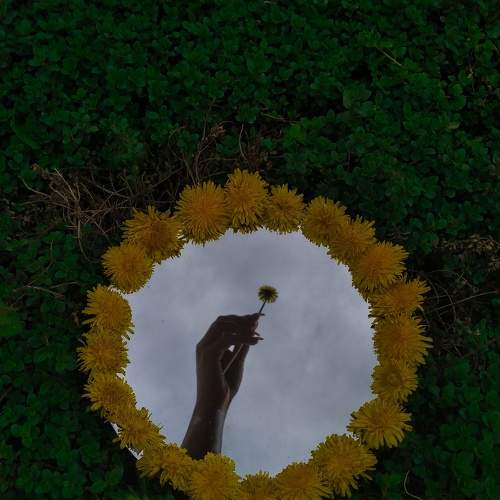 Photo #7959692