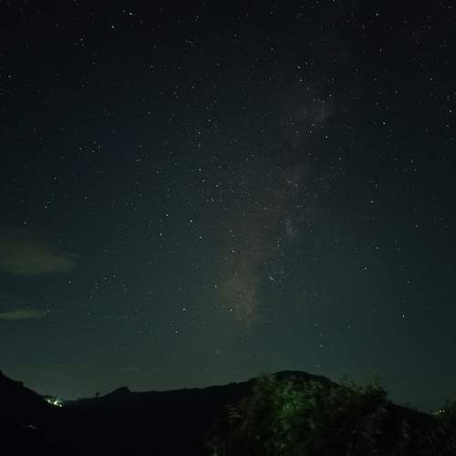 Photo #7959704