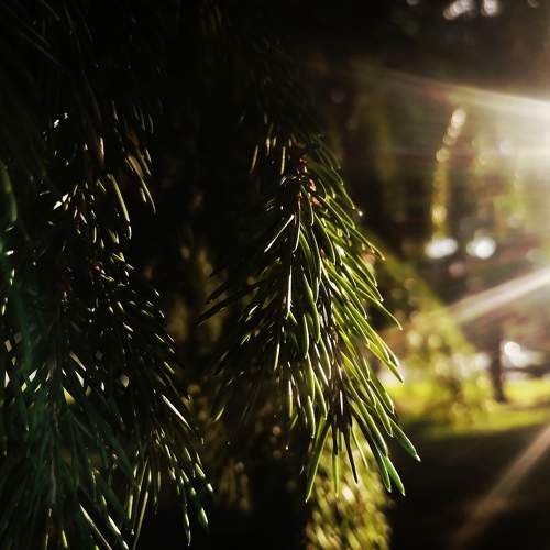 Photo #7959866