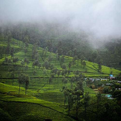 Photo #7960285