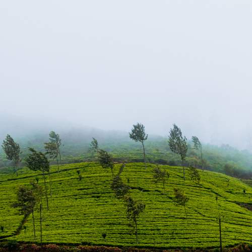 Photo #7960289
