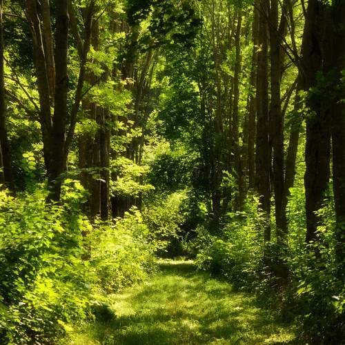 Photo #7960609