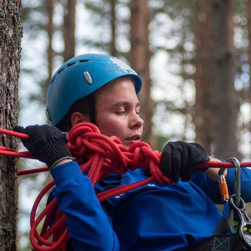 Photo #7961063