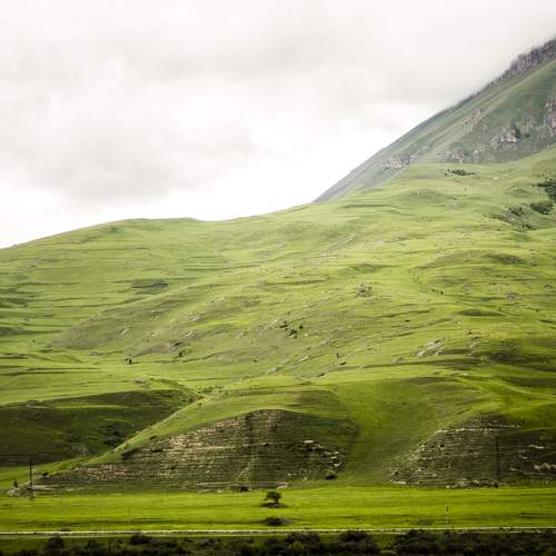 Photo #7961333