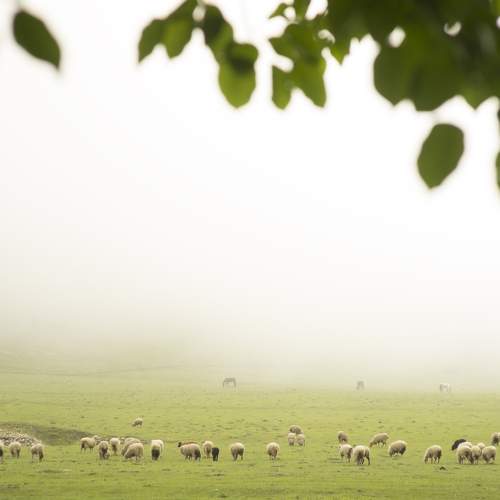Photo #7961337